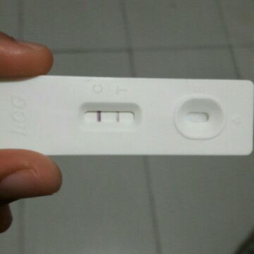 HcG