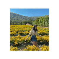 Pwr Tyw profile icon