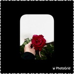 Khaiira profile icon