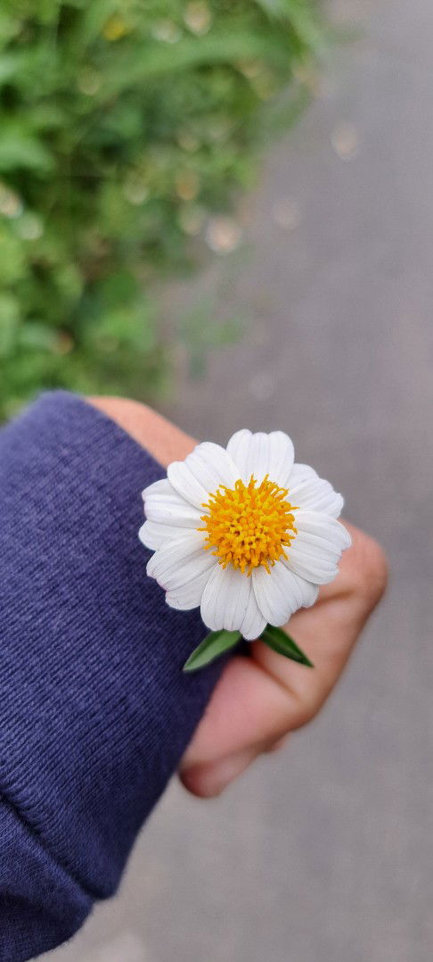 rizka riyani profile icon