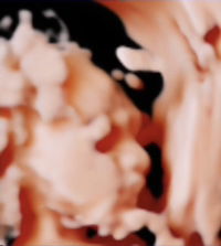 นินิวแม่น้องไนลาร์ profile icon