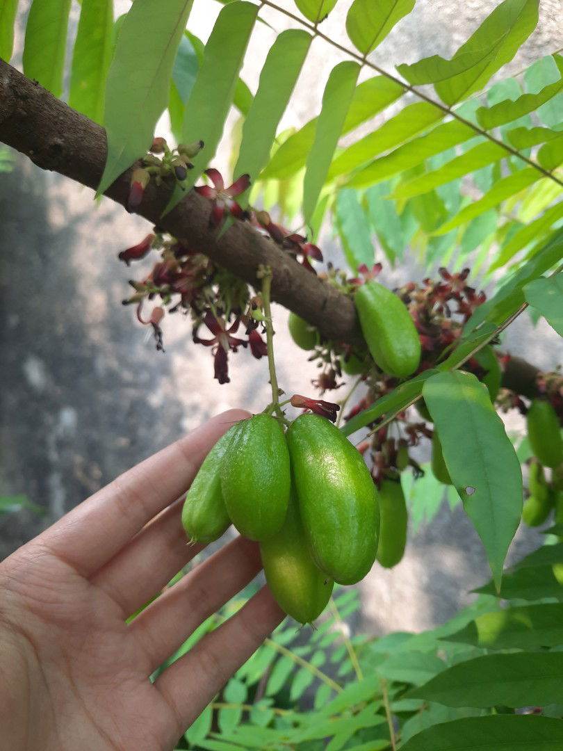 Arofhie profile icon