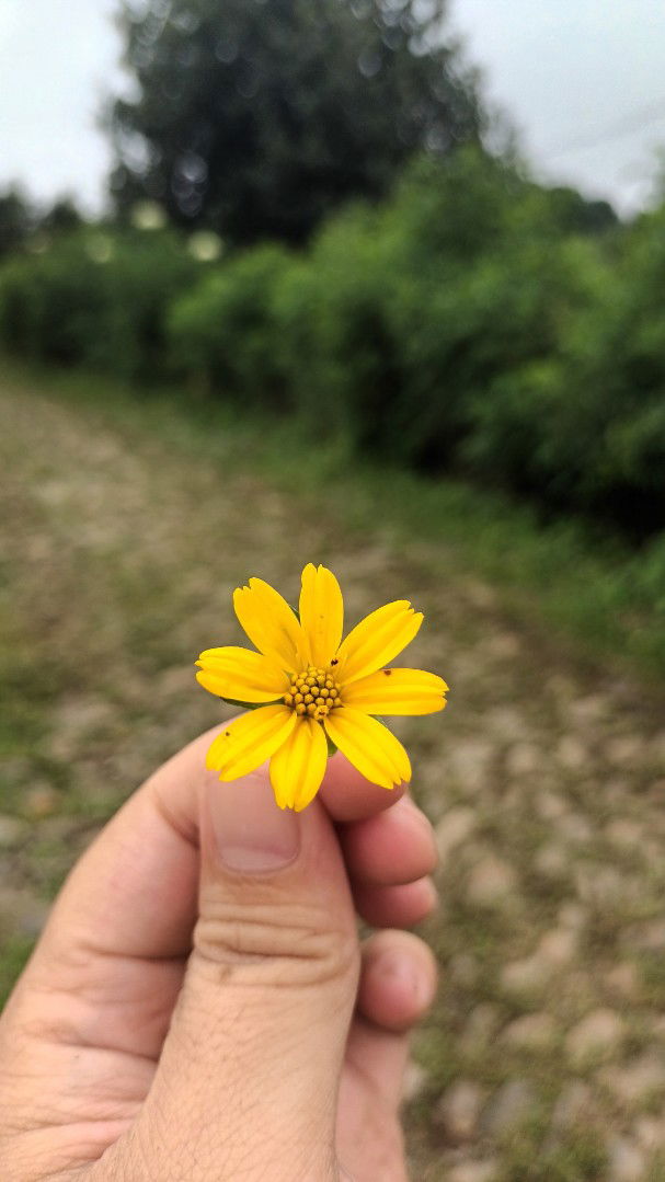 Achya Gita profile icon