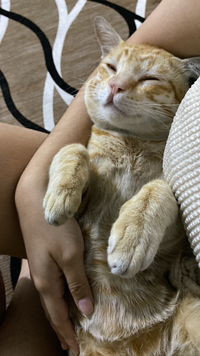 Pubpab Pubpab profile icon