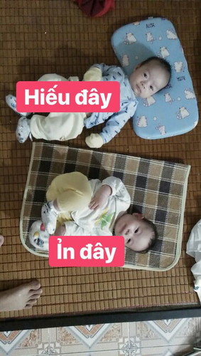 Ỉn 4m6d
