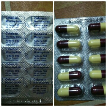 Cefalexin antibiotic