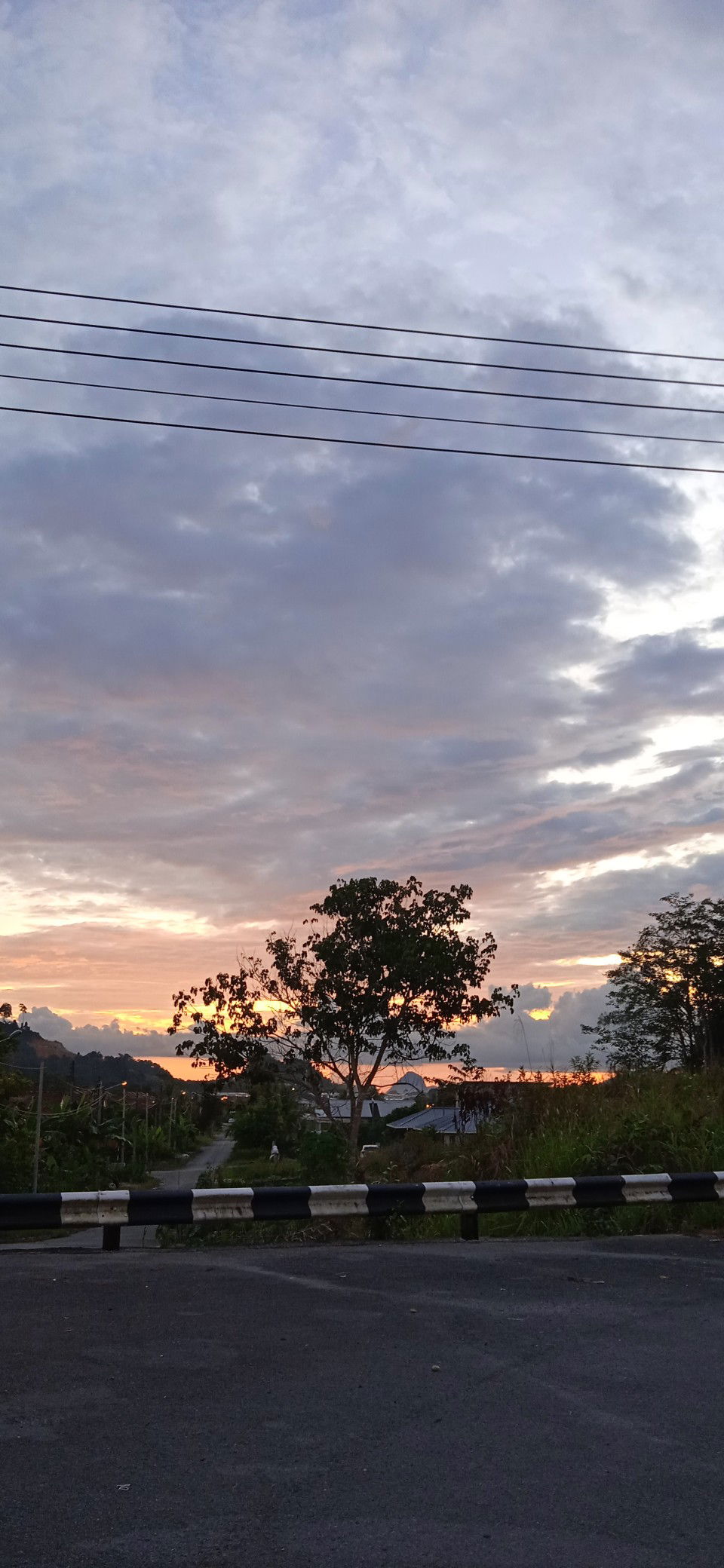 Elisa 21 profile icon