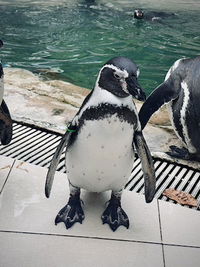 Varuenda Func profile icon