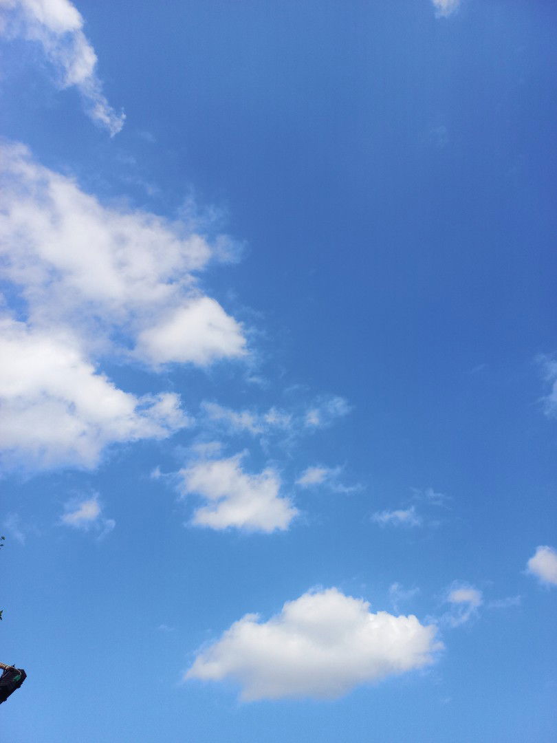 Damayanti profile icon