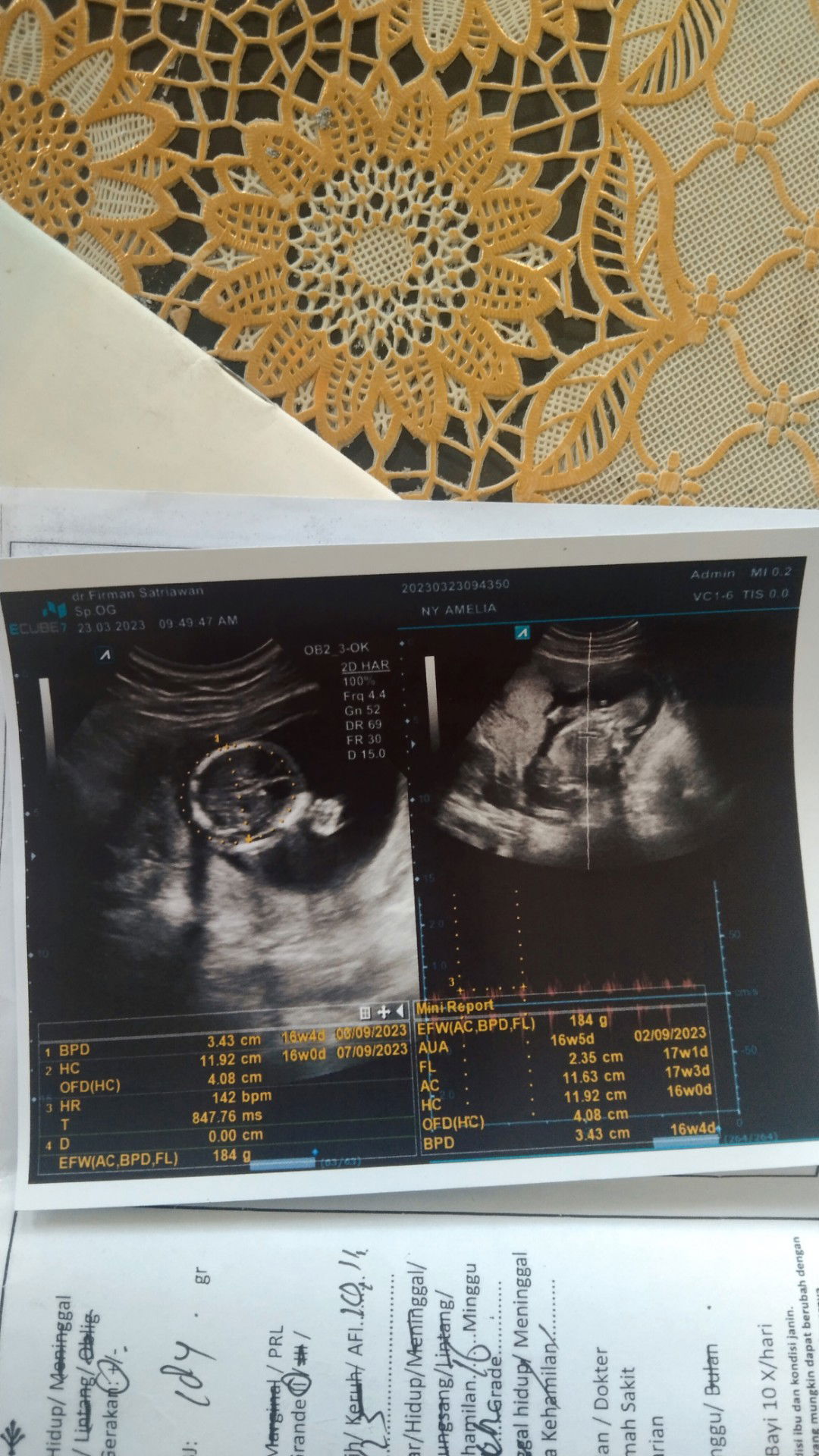 Amel Aprilia profile icon