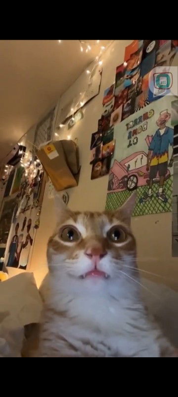 Emak gen Z profile icon