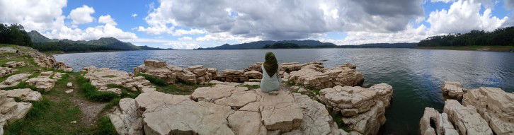 diyyyah profile icon