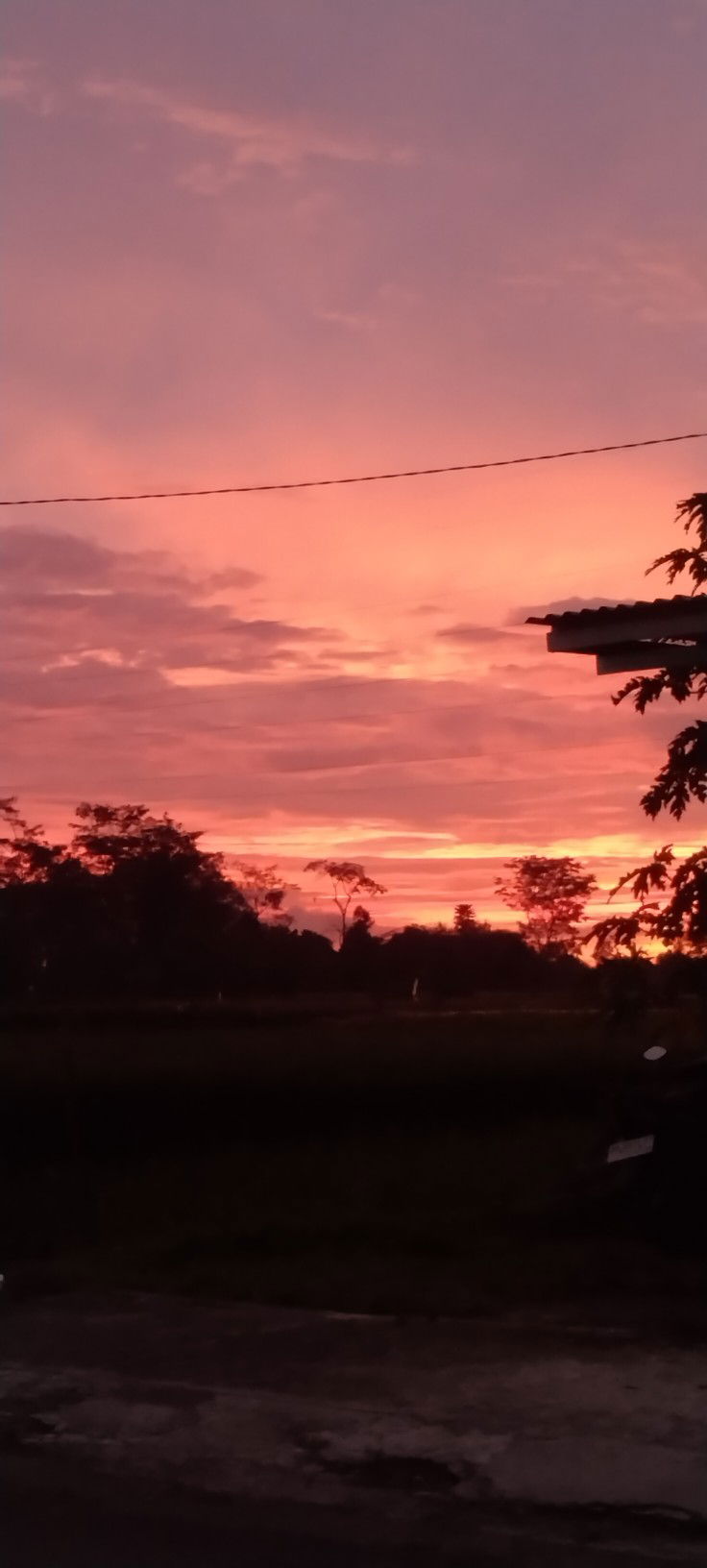 NaroStar profile icon