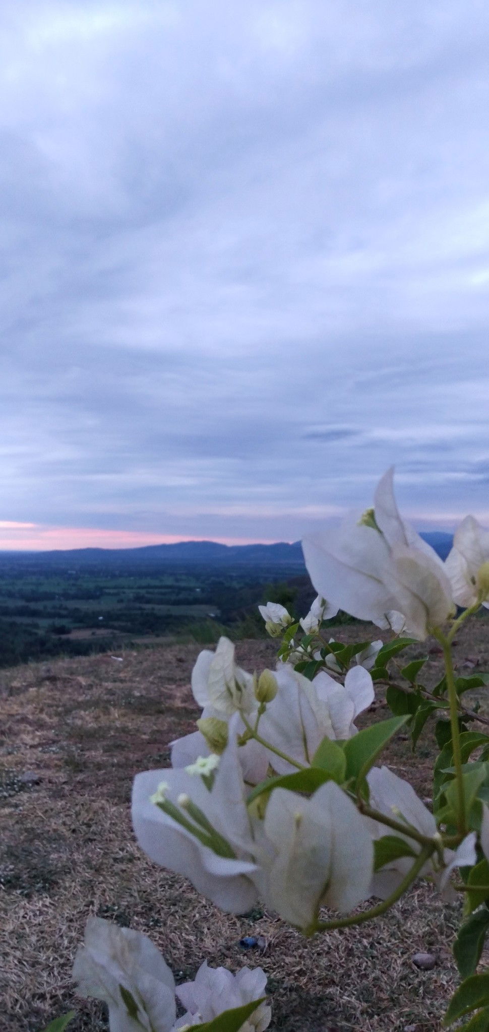 Ülan18 profile icon