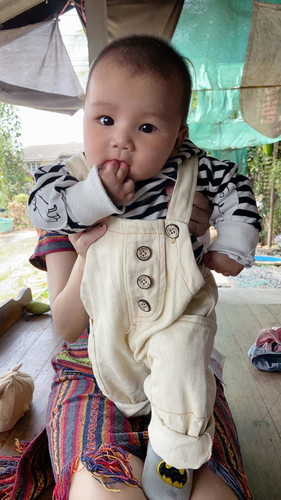 การป้อนอาหาร