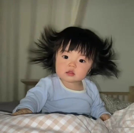 Aniem Fikri profile icon