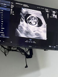 amornrat Prommawan profile icon