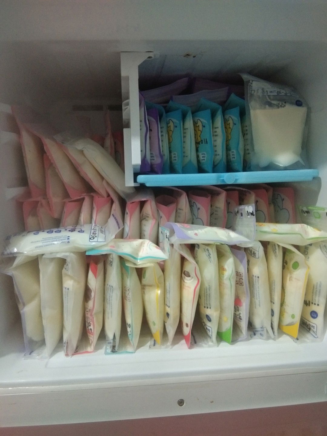 DONOR ASI SURABAYA SIDOARJO