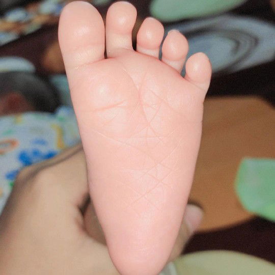 Cindy Octavia profile icon