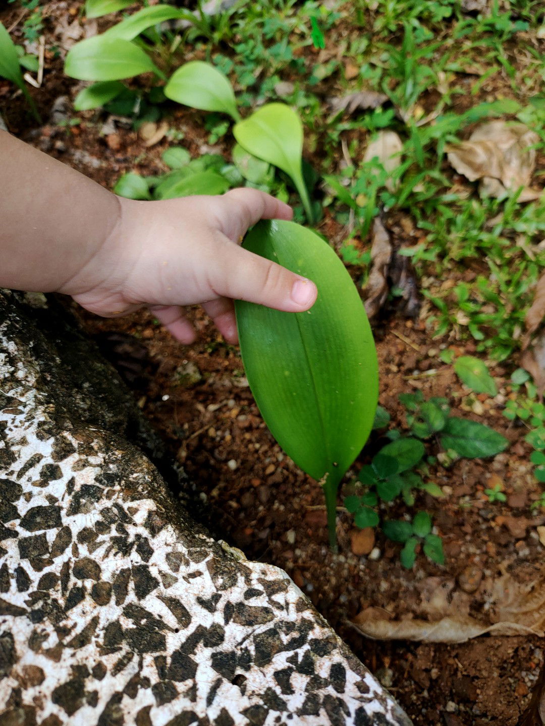 •ᴥ• ᴍᴏᴍᴍʏᴍᴀʏ﹆ֹ profile icon