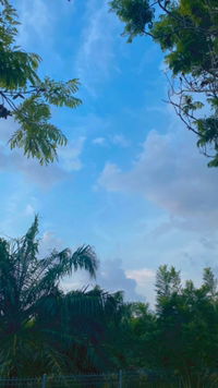 Gubgift profile icon