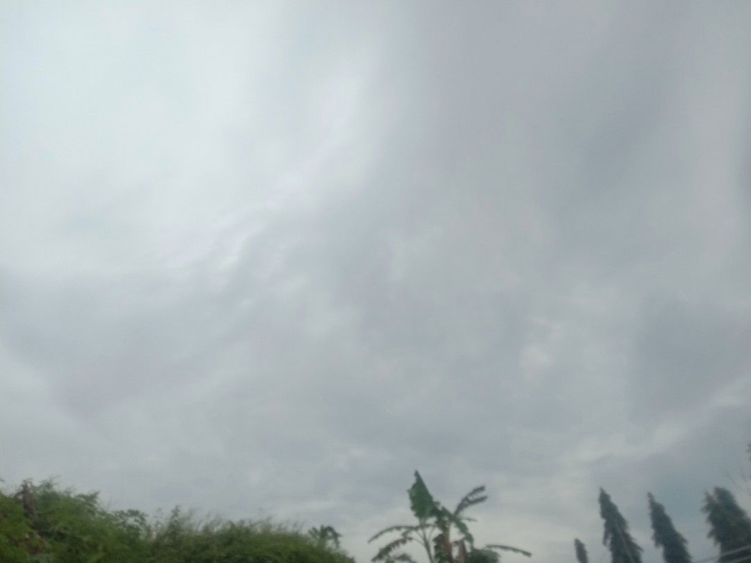 sri asih profile icon