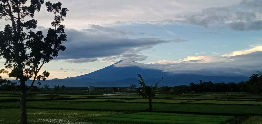 Nur Ni'ma profile icon