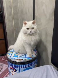 KOOKKAI INDEPANDENCE profile icon