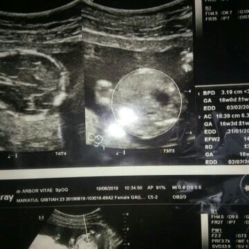 yang mana hrus dipercaya?