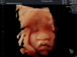 N’nubdao profile icon