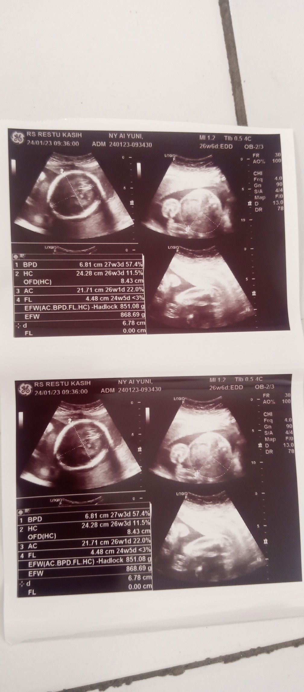 Ayunie Irsyad profile icon