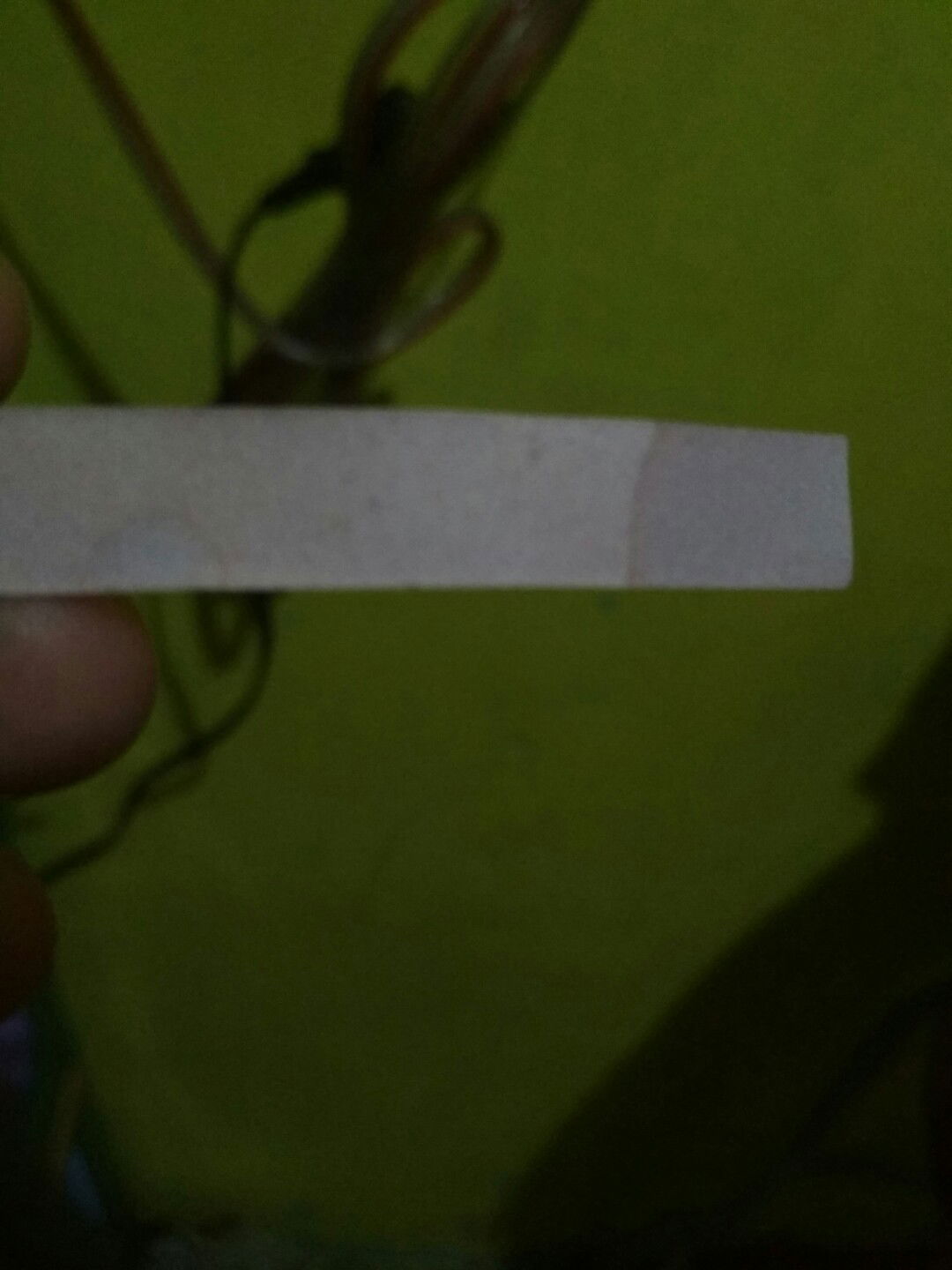 apakah ini air ketuban