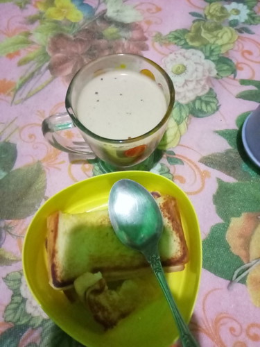 susu hamil