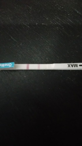kehamilan