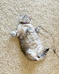 Jess Mommy of 3 profile icon