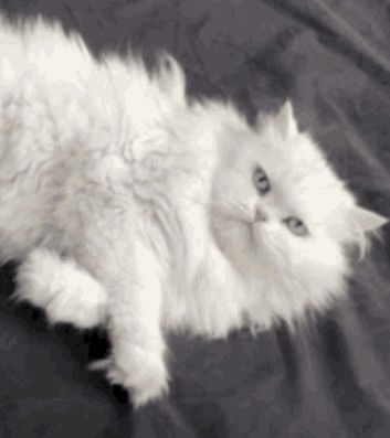 Darryna Eve profile icon