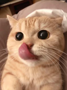 Nam Nam profile icon