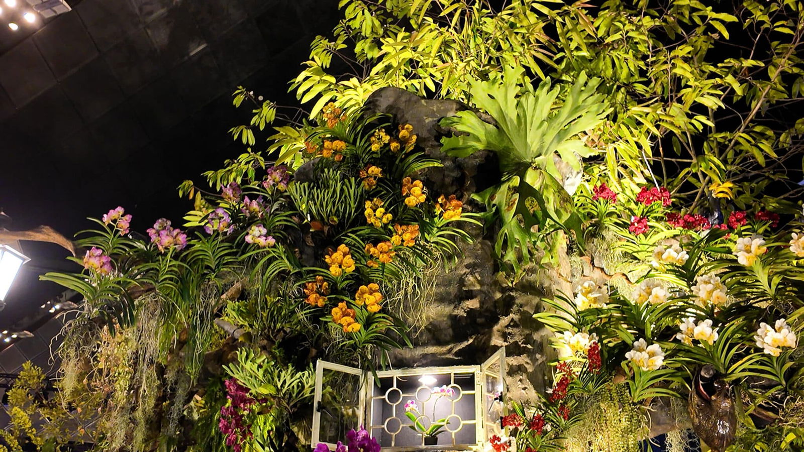 Danisha Ella profile icon