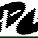 visionnairex profile icon