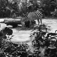 Wendy Soh profile icon