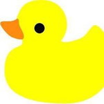 Elaine Lim profile icon