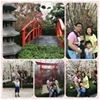 Caris Tay Yuxuan profile icon