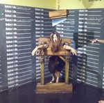 Elaine Lim profile icon