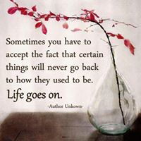 Daphnie Lin profile icon