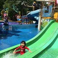 Terri Tan profile icon