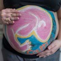 Sam Ocampo profile icon