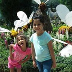 Sony Khialani profile icon