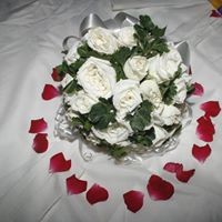 Glo de Castro profile icon