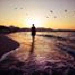 Gypsy Lim profile icon