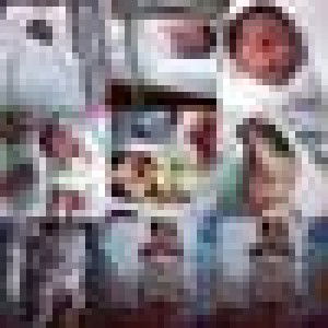 ผาณิตา ใจปิติ profile icon